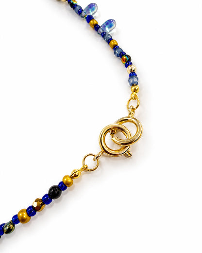 Ranunculus / "Blue Night" Trinita