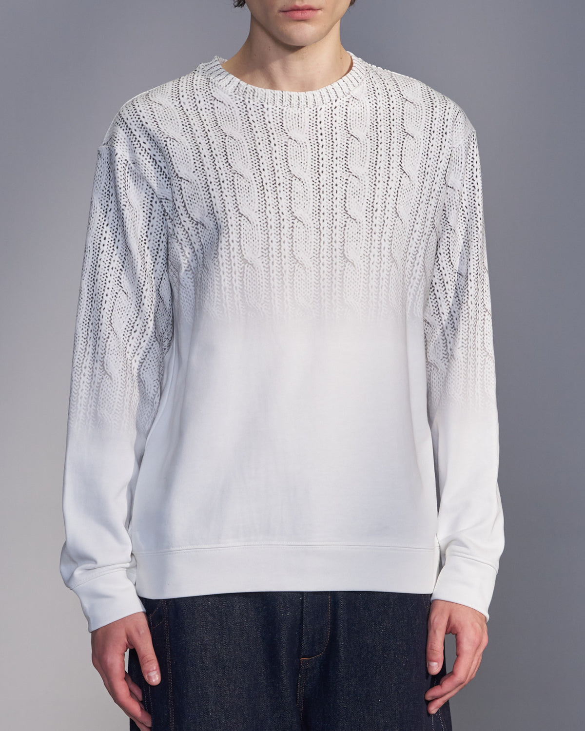 HARRISON WONG / Gradient Sweater Print Sweatshirt - White