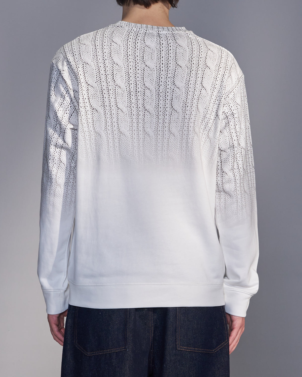 HARRISON WONG / Gradient Sweater Print Sweatshirt - White