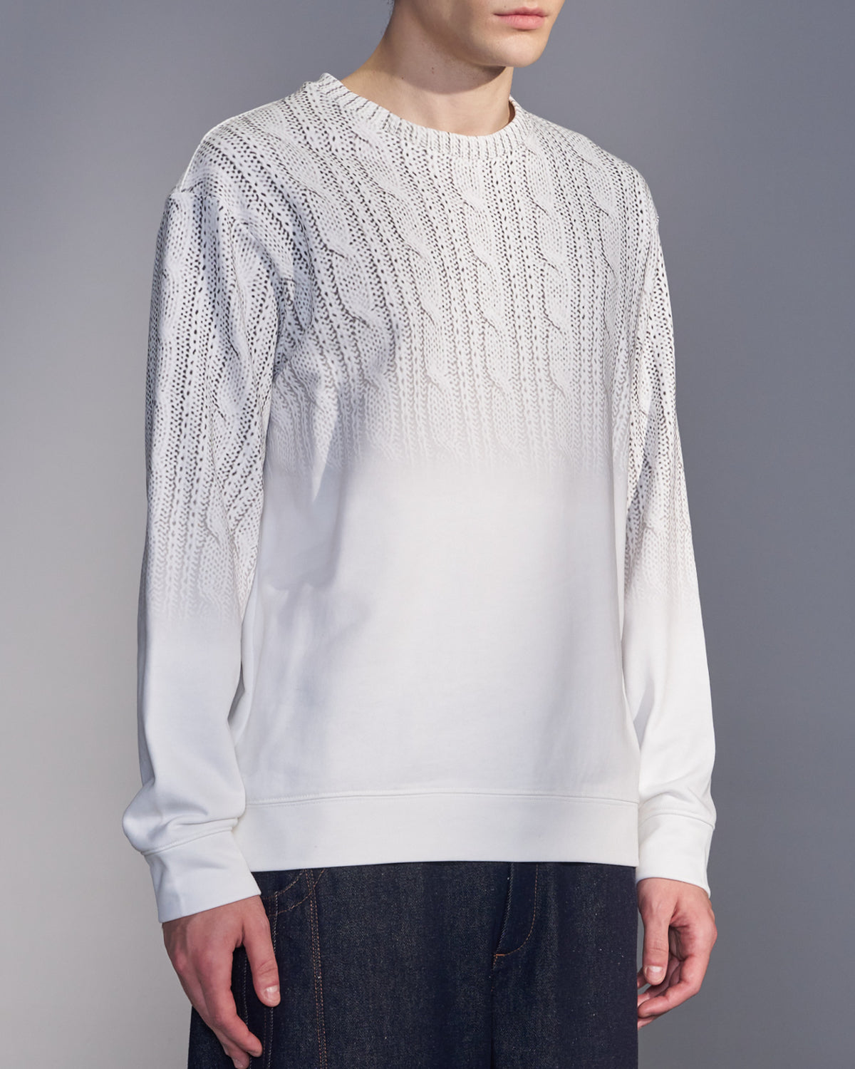 HARRISON WONG / Gradient Sweater Print Sweatshirt - White