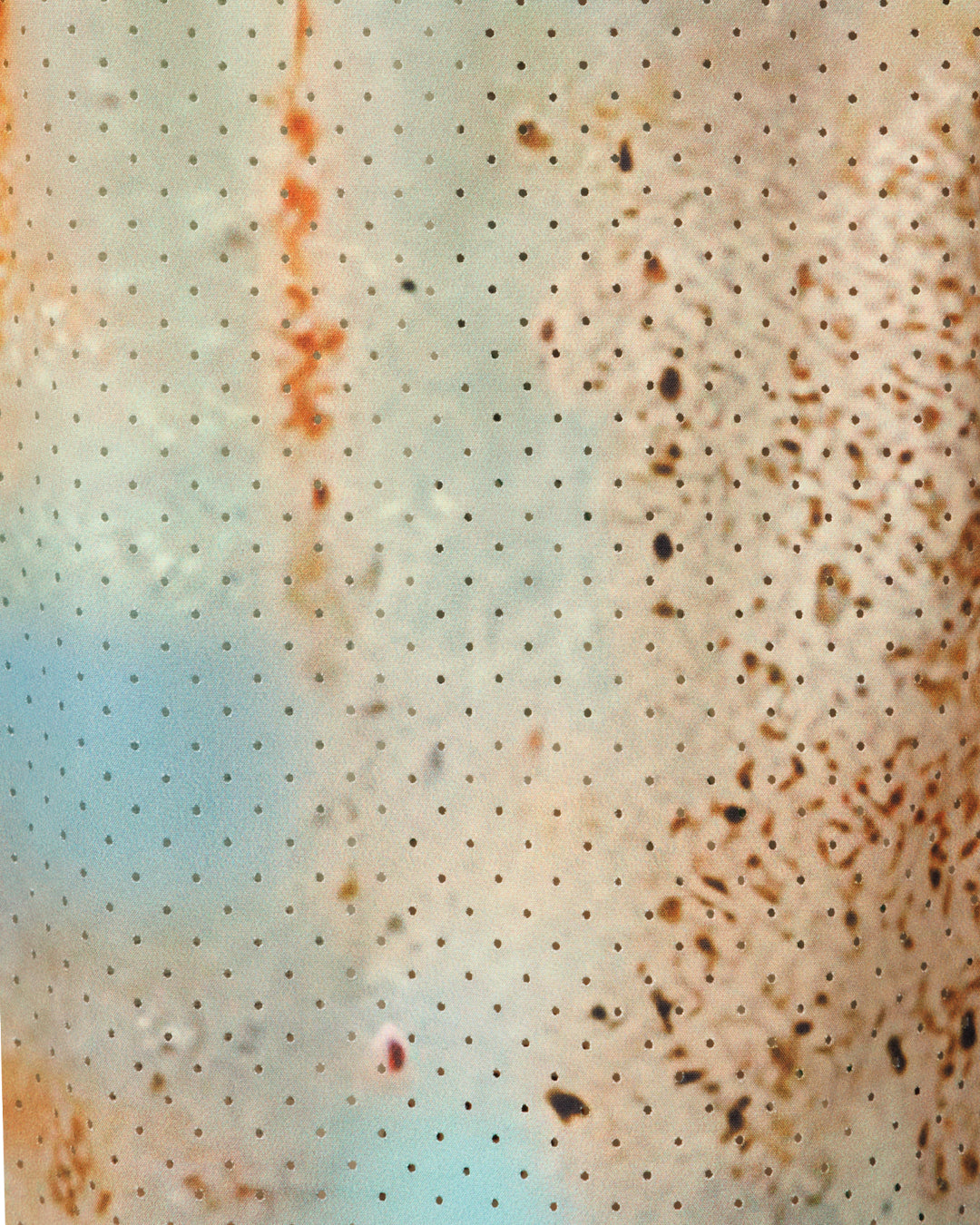 HARRISON WONG / Rust Pattern Print Bomber Jacket