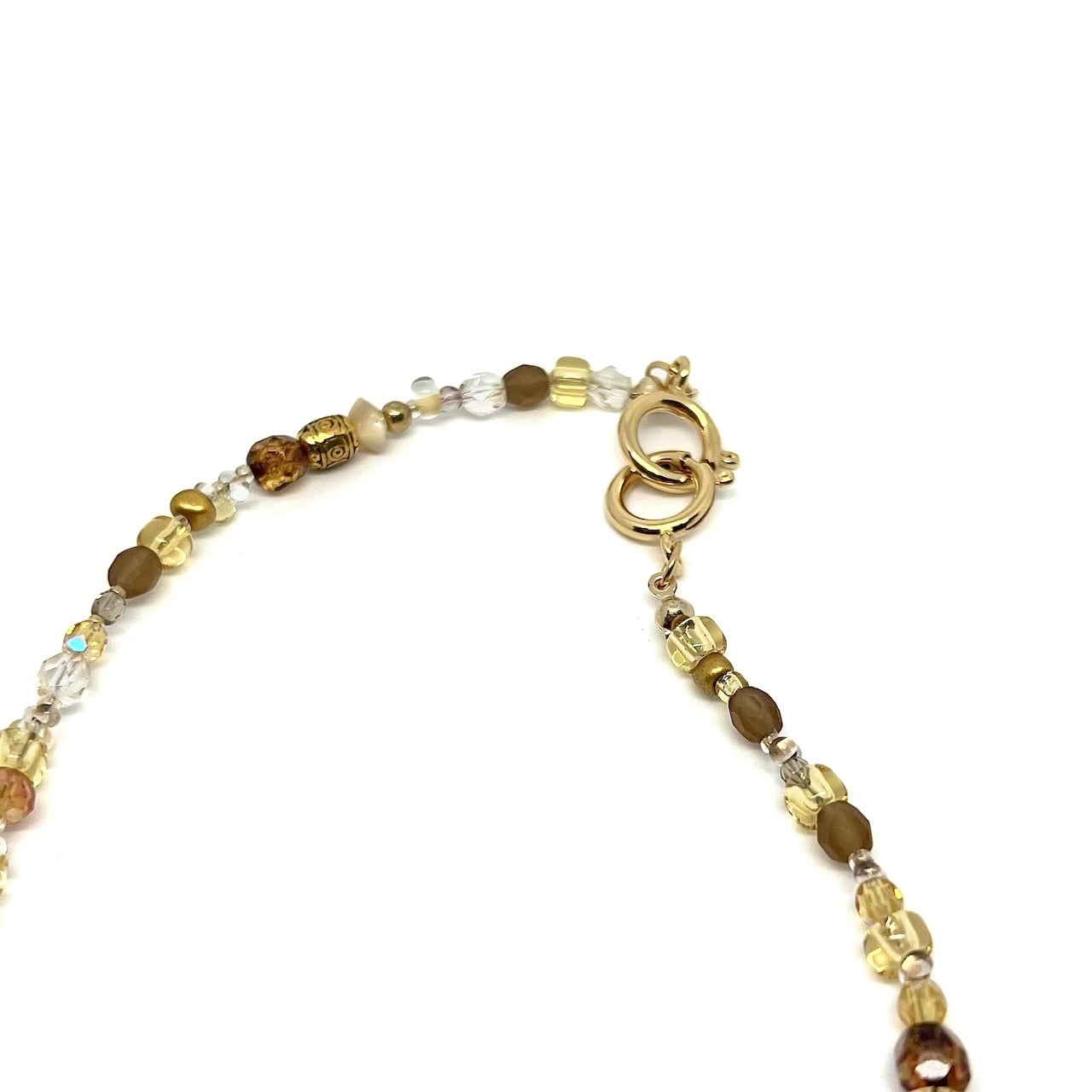 Ranunculus / 黄昏時 - Trinita -